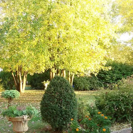 La Corte Del Cavaliere 3* קלדררה די רנו