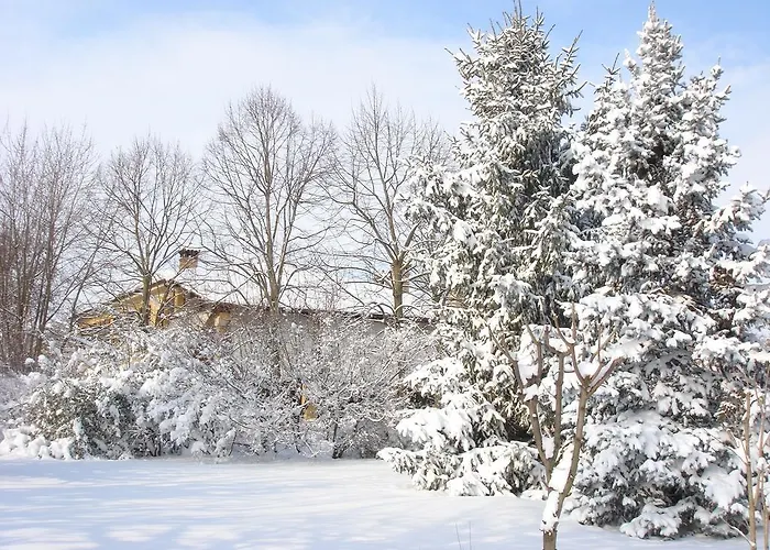 La Corte Del Cavaliere فندق مبيت وإفطار كالديرارا دي رينو